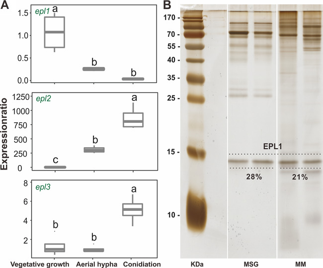 FIG 3