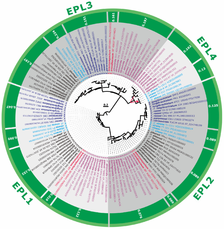 FIG 2