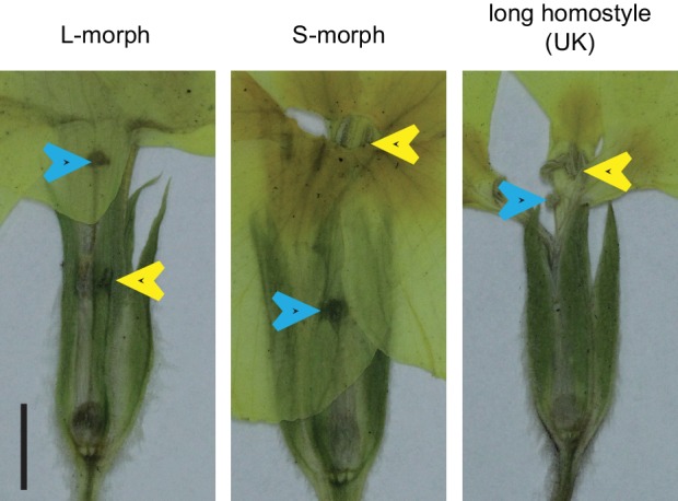 Figure 2—figure supplement 4.