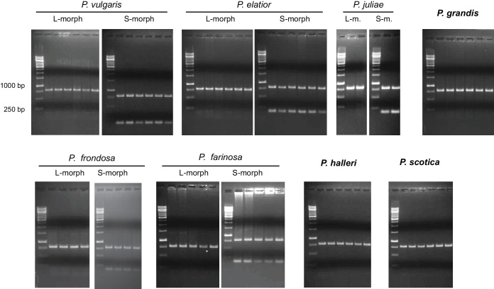 Figure 2—figure supplement 2.