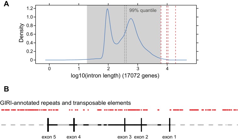 Figure 4—figure supplement 2.