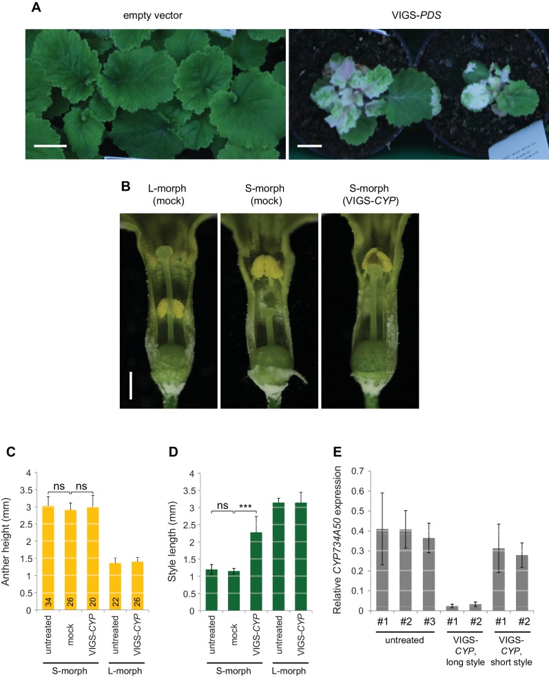 Figure 2—figure supplement 6.