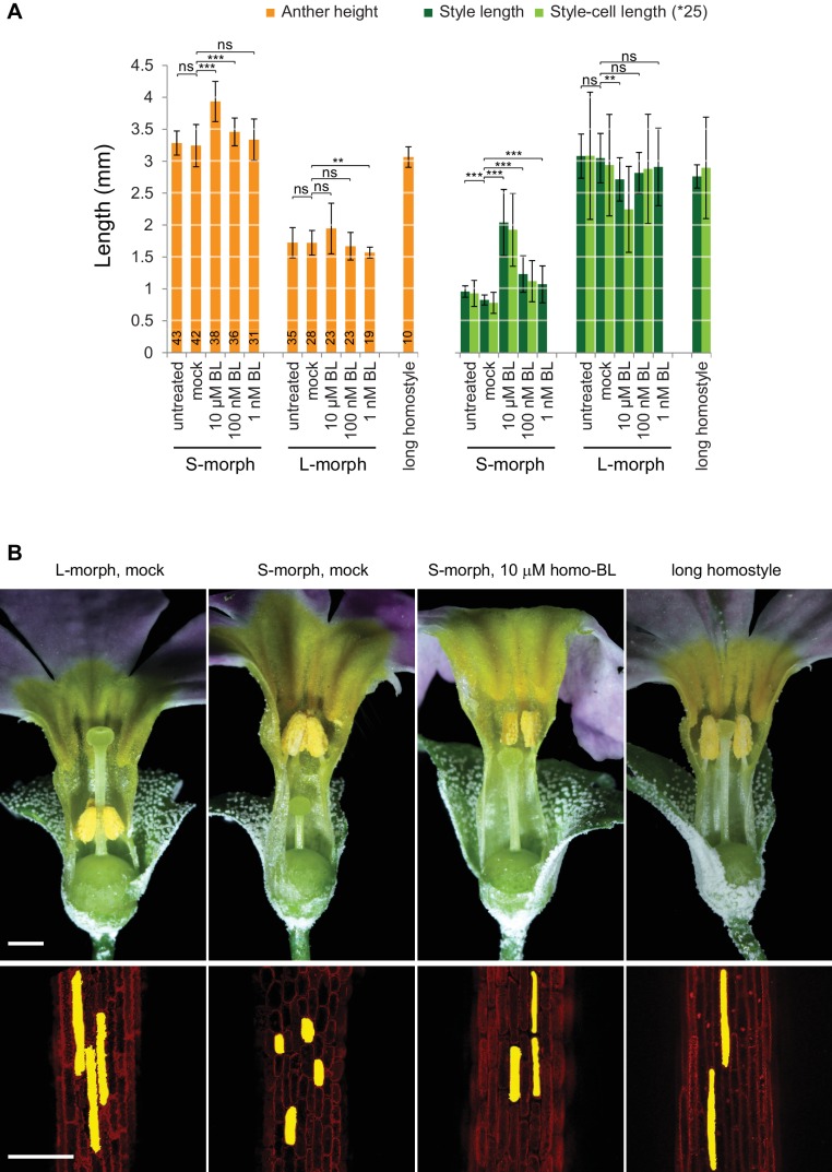 Figure 3—figure supplement 1.