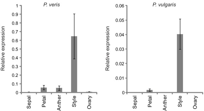 Figure 1—figure supplement 3.