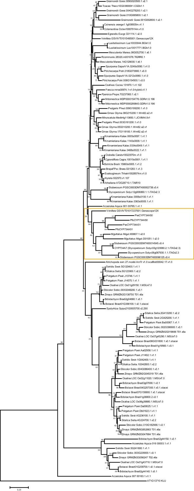 Figure 4—figure supplement 1.