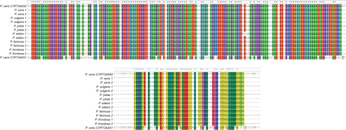 Figure 2—figure supplement 3.