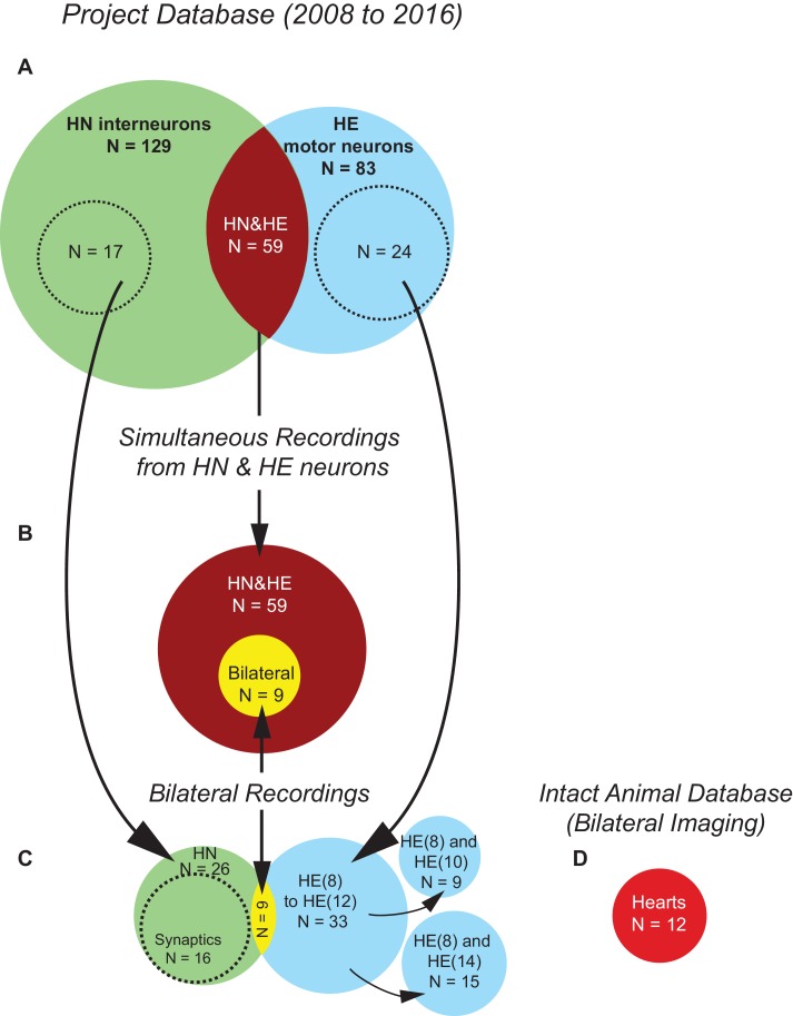 Figure 2—figure supplement 1.