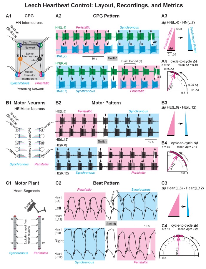 Figure 2.