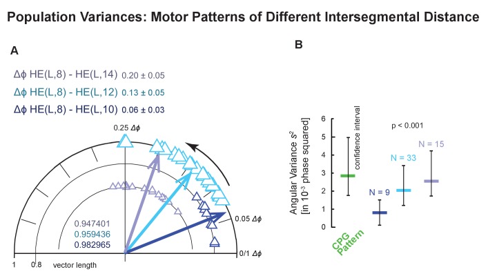 Figure 4—figure supplement 1.