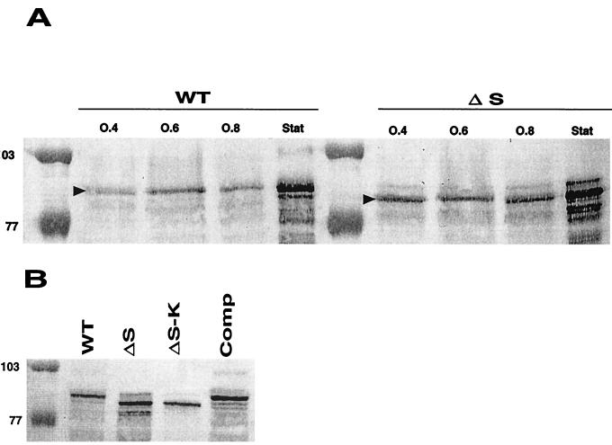 FIG. 2.