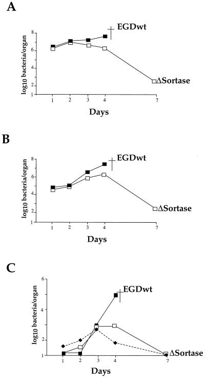 FIG. 6.