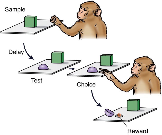 FIGURE 1