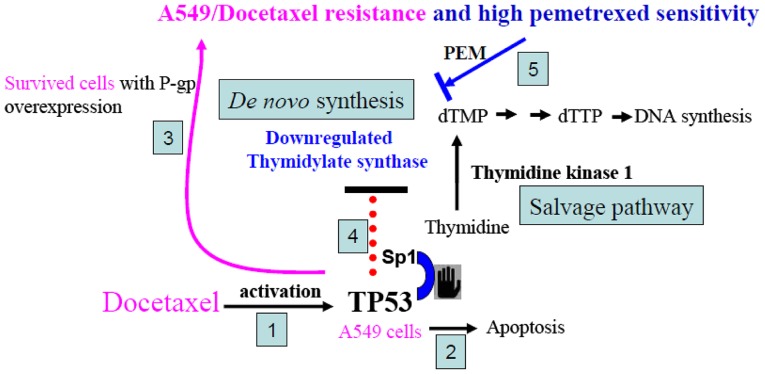 Figure 6.