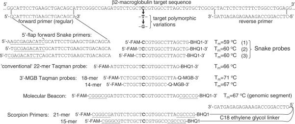 Figure 10.