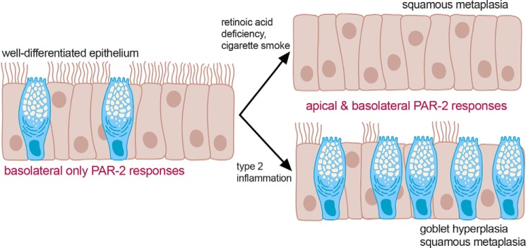 Figure 13.