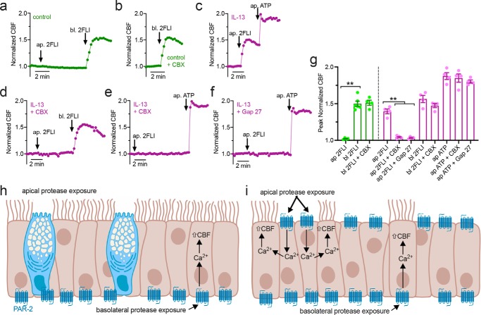 Figure 12.