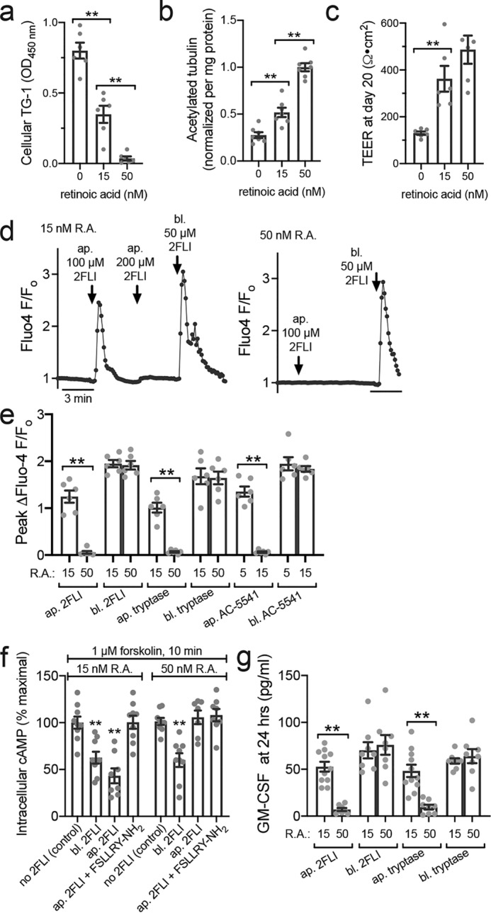 Figure 10.