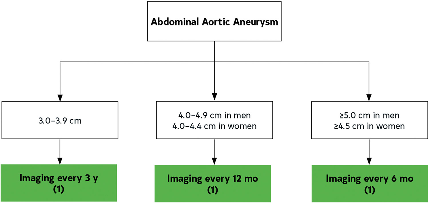 FIGURE 20