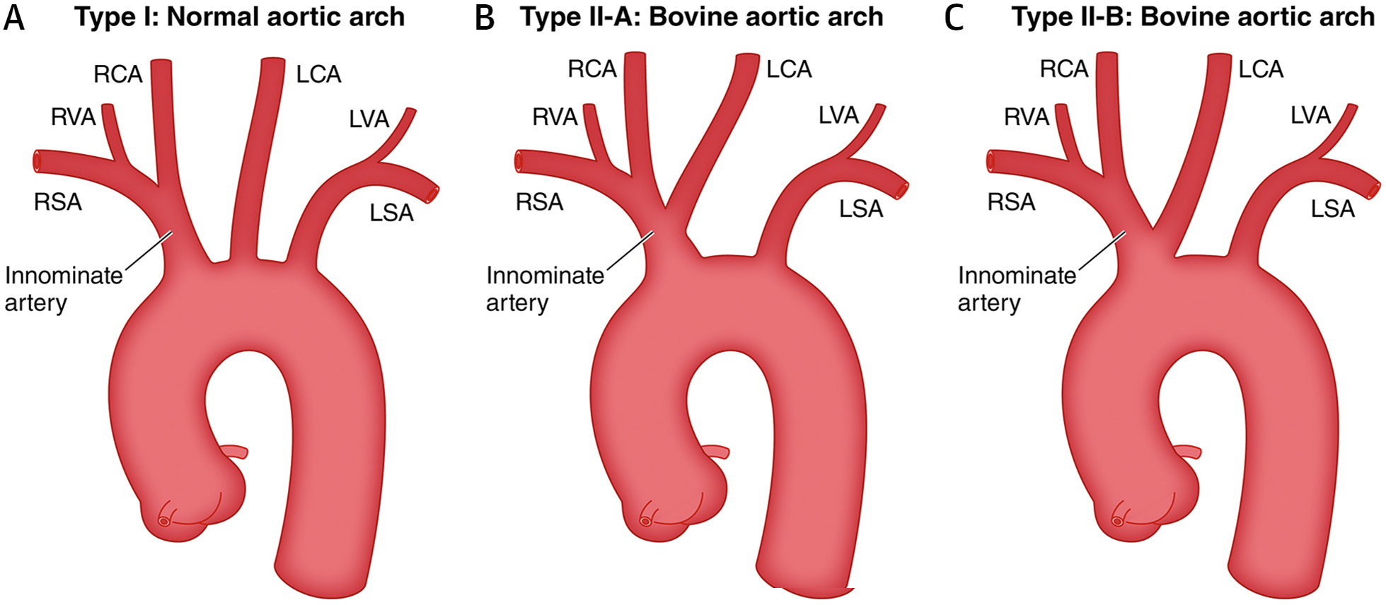 FIGURE 28