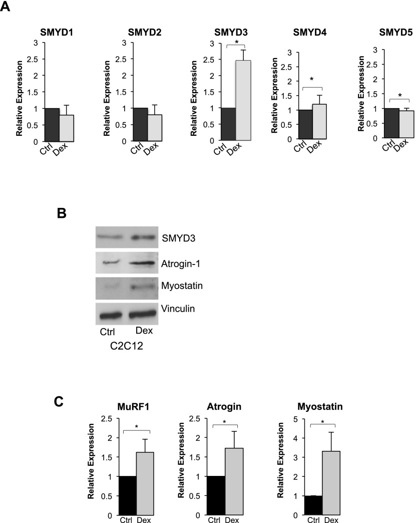 Figure 5.