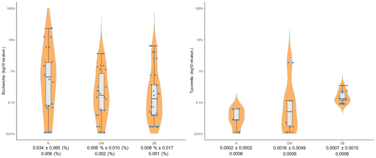 Fig 5