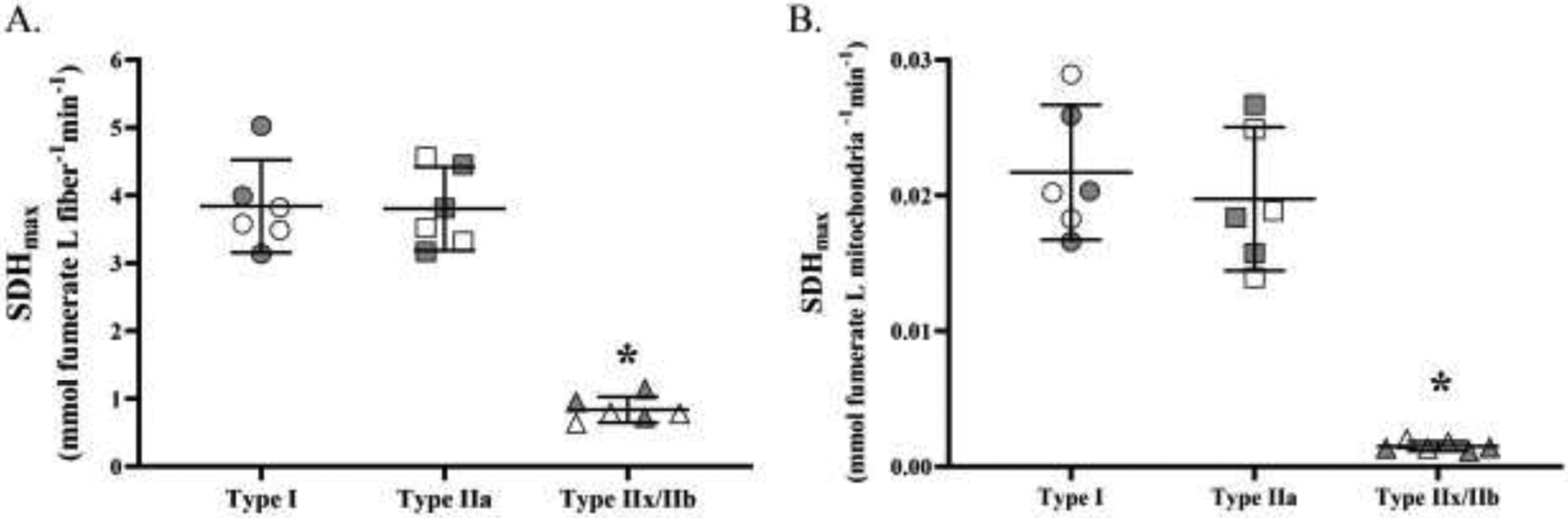 Figure 5: