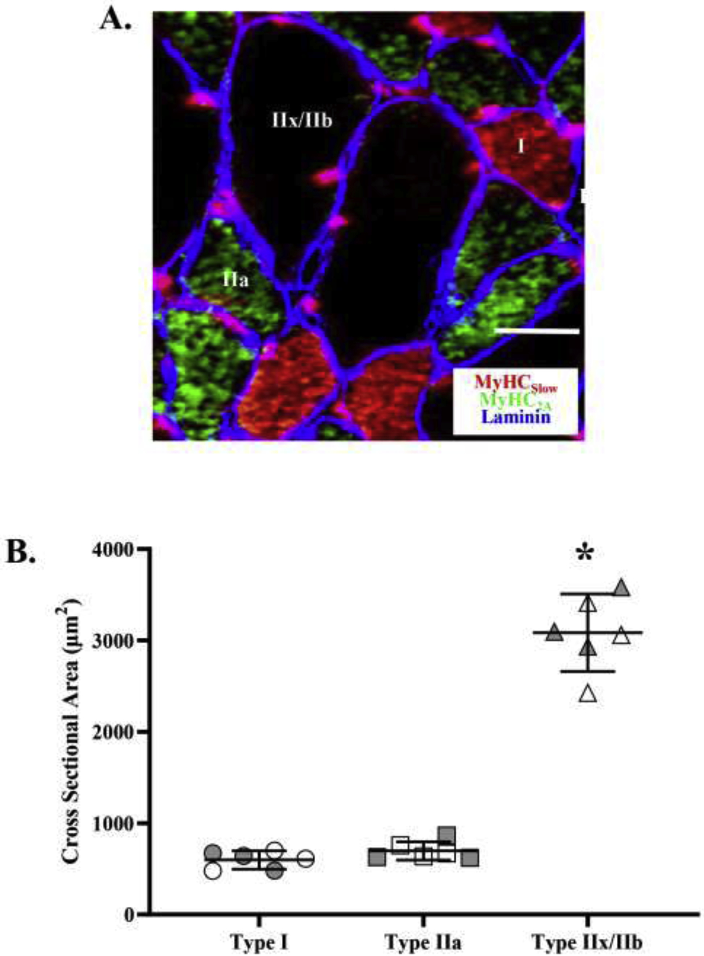 Figure 1: