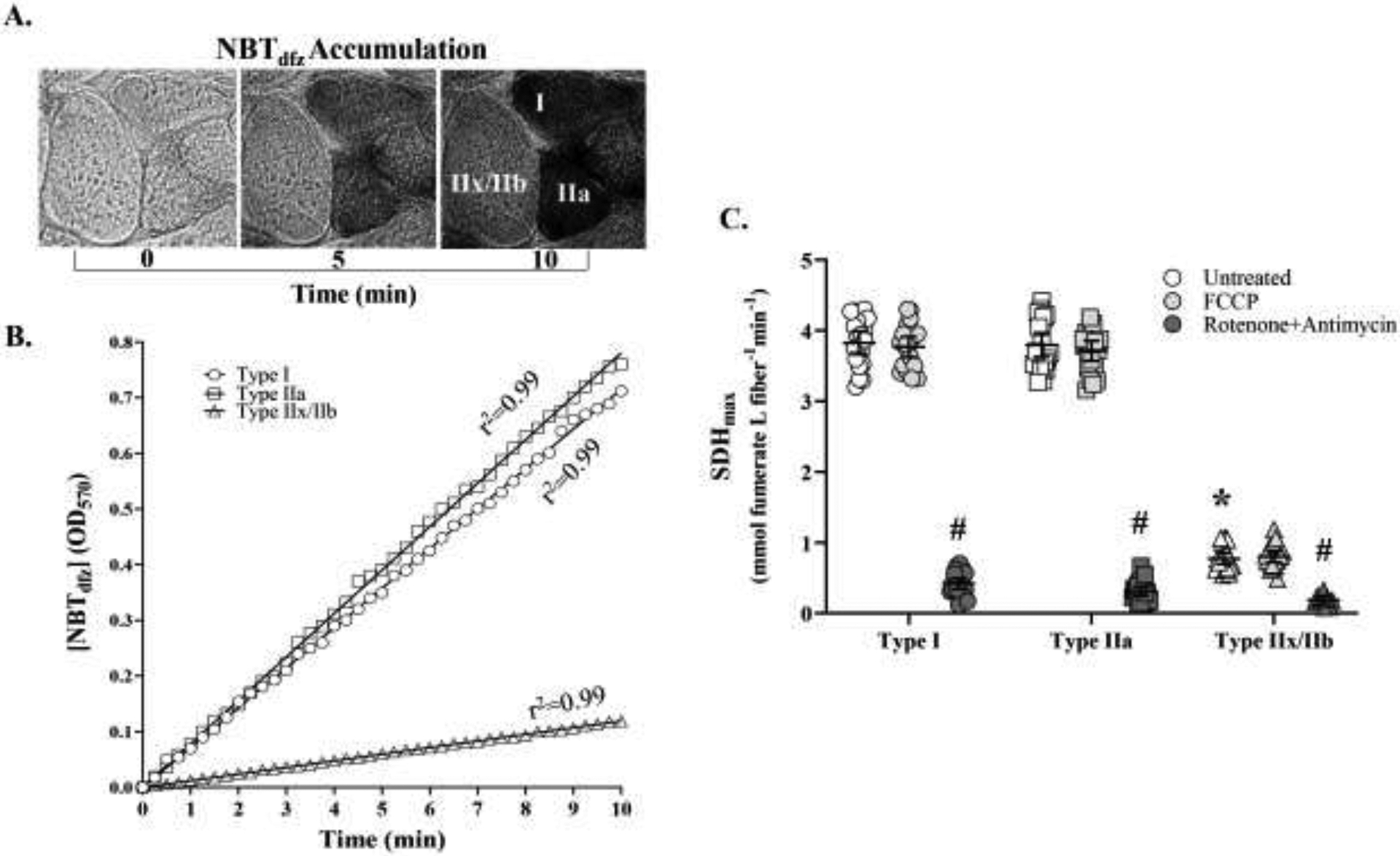 Figure 3: