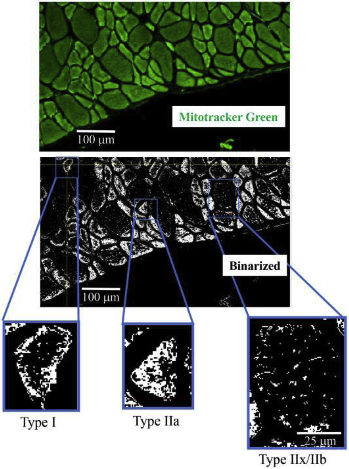 Figure 2: