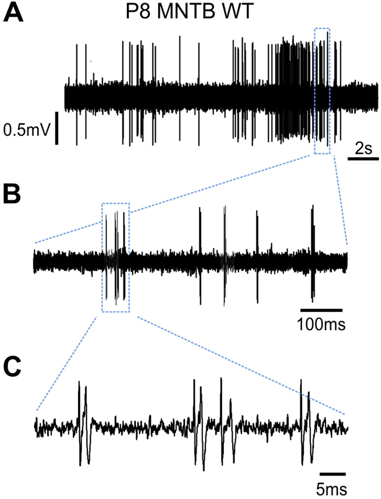 Figure 2—figure supplement 1.