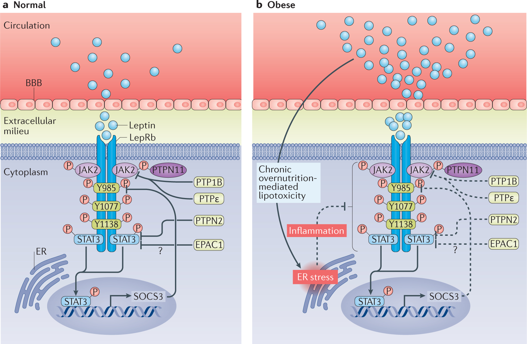 Figure 2 |