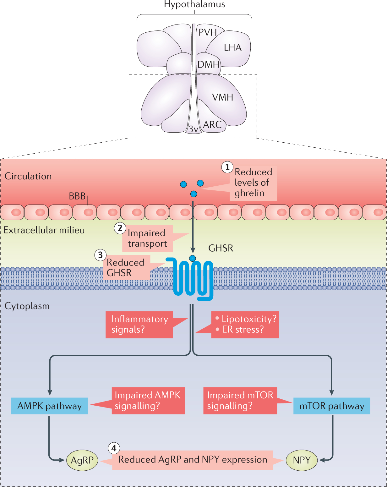 Figure 4 |