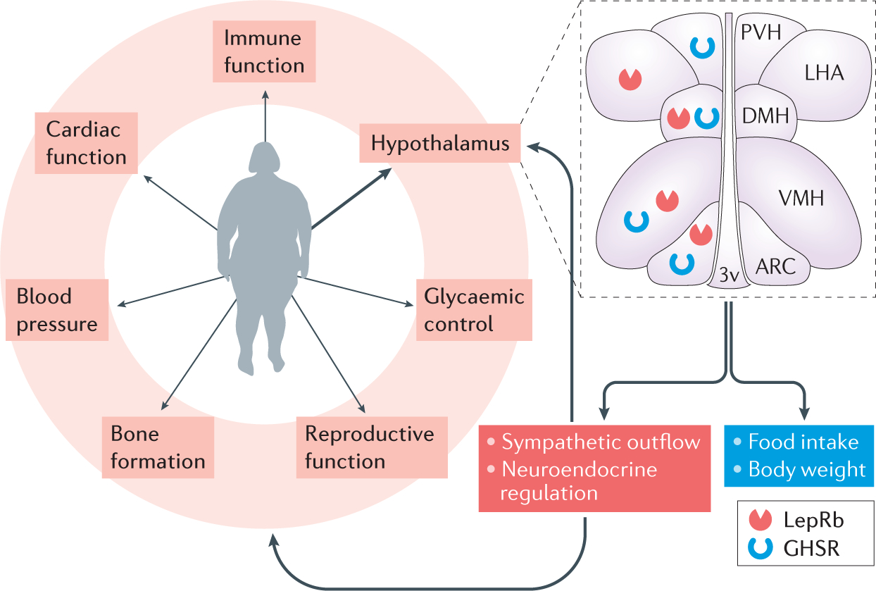 Figure 1 |