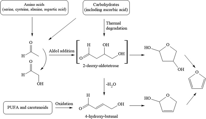 Fig. 12