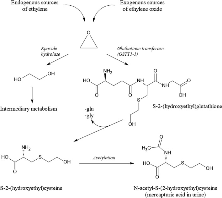 Fig. 11