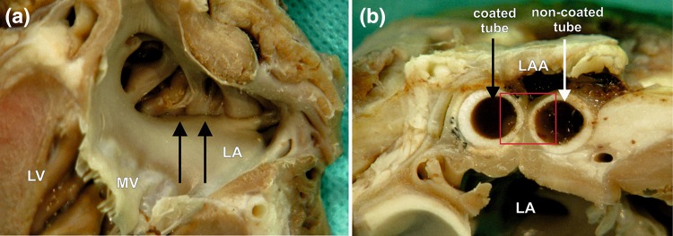 Figure 6