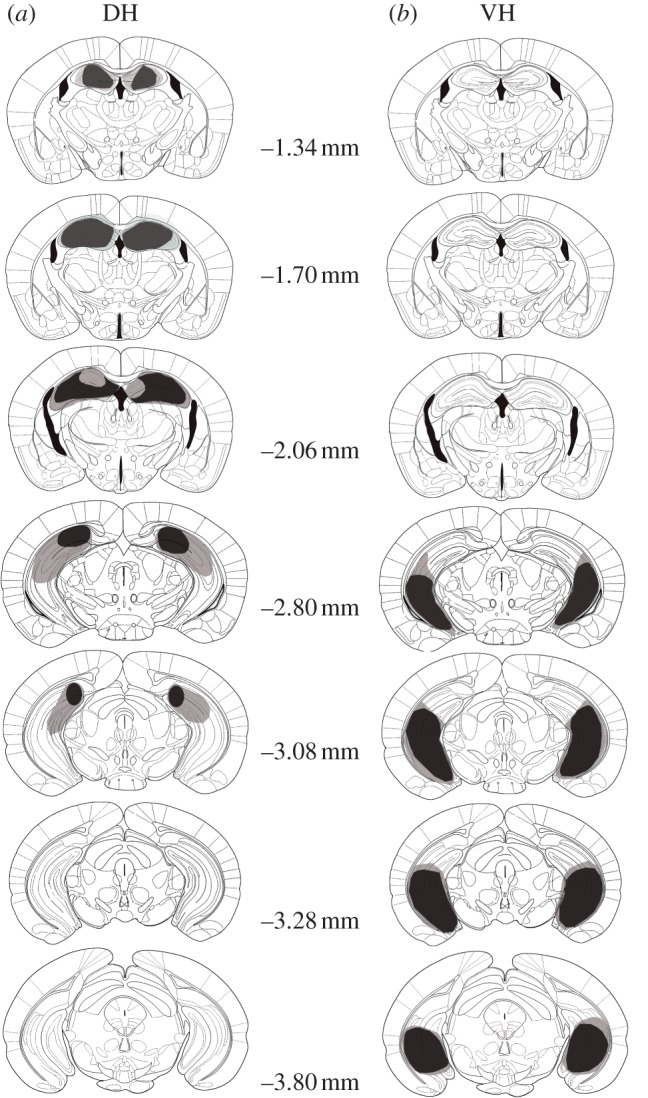 Figure 5.