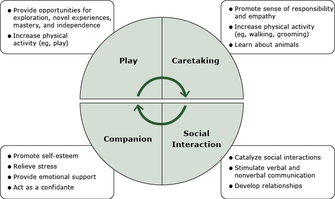 The model illustrates how pet dogs influence play, caretaking, companionship, and social interaction. Play: provides opportunities for exploration, novel experiences, mastery, and independence and increases physical activity. Caretaking: promotes sense of responsibility and empathy, increases physical activity (eg, walking, grooming), allows for learning about animals. Companionship: promotes self-esteem, relieves stress, provides emotional support (pet dog can act as a confidante). Social interaction: catalyzes social interactions, stimulates verbal and nonverbal communication, and develops relationships.