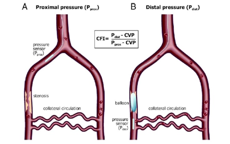 Fig. (5)