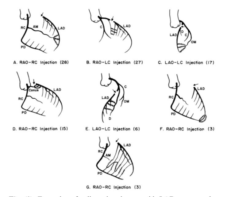 Fig. (3)