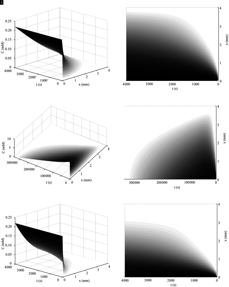 
FIG. 4.
