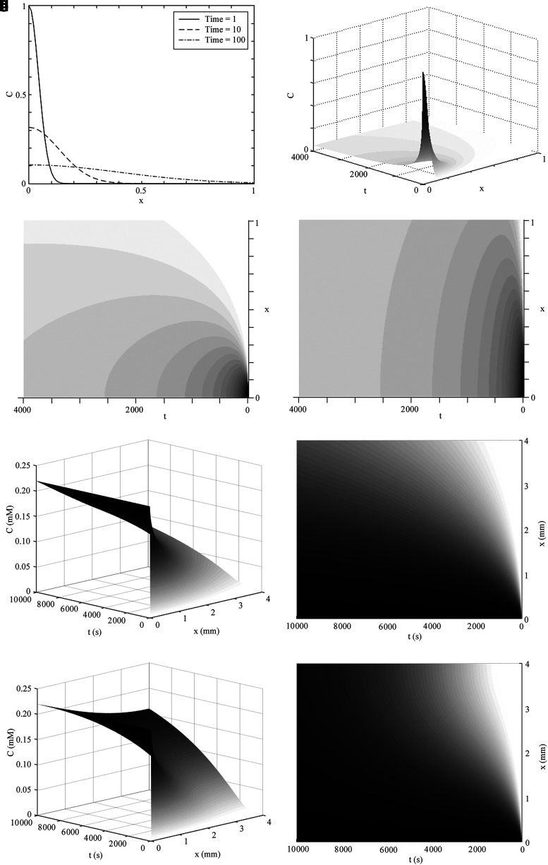 
FIG. 3.
