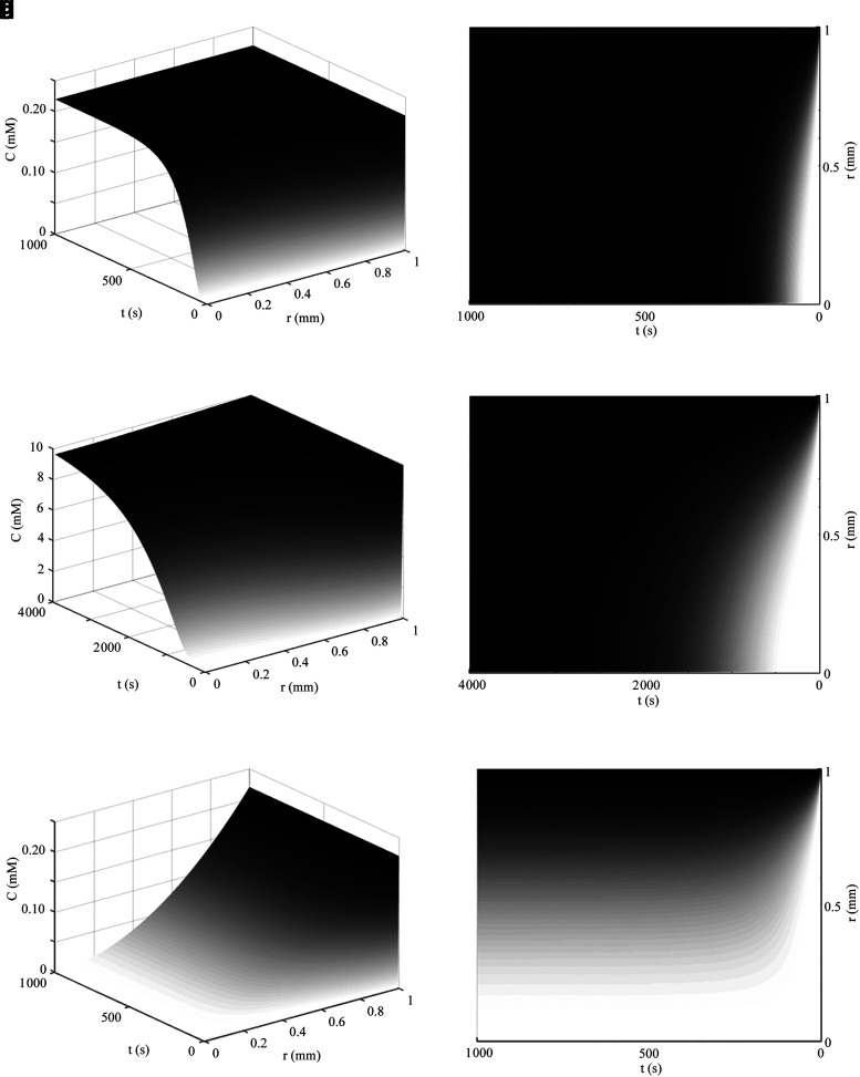 
FIG. 6.
