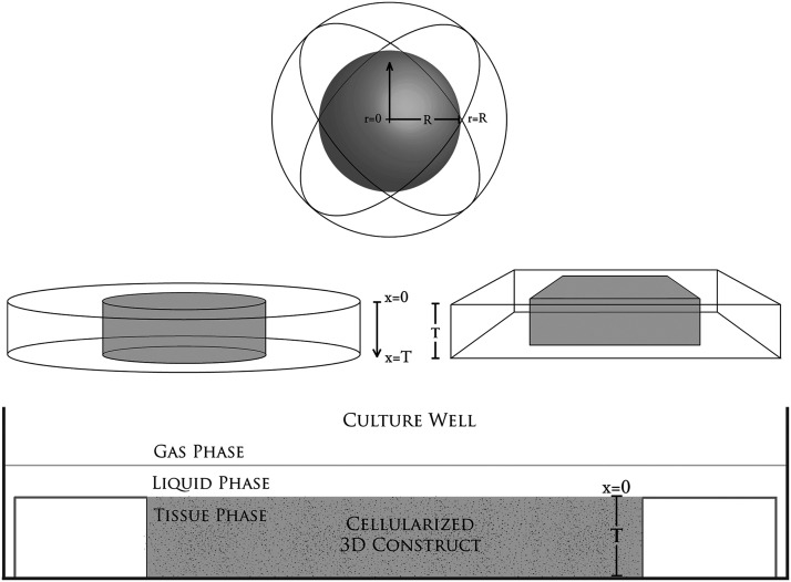 
FIG. 1.
