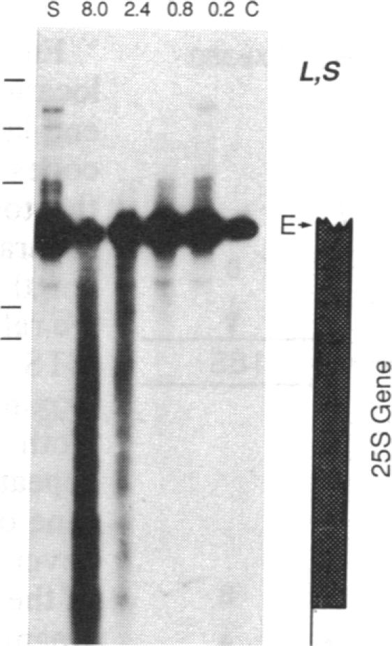 graphic file with name pnas00271-0090-f.jpg