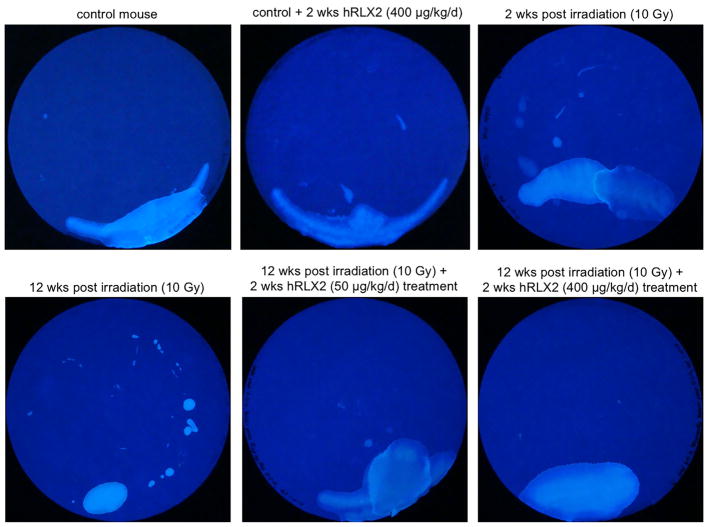 FIGURE 3