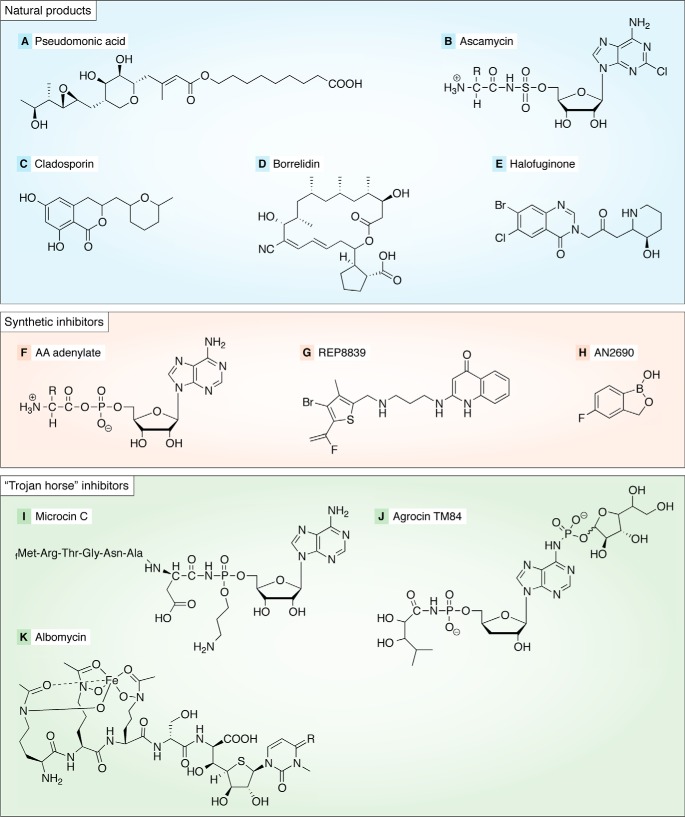 Figure 2.