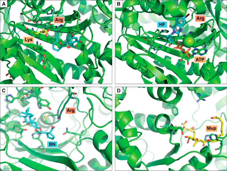 Figure 3.