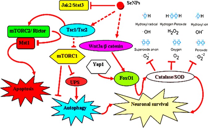 Figure 10