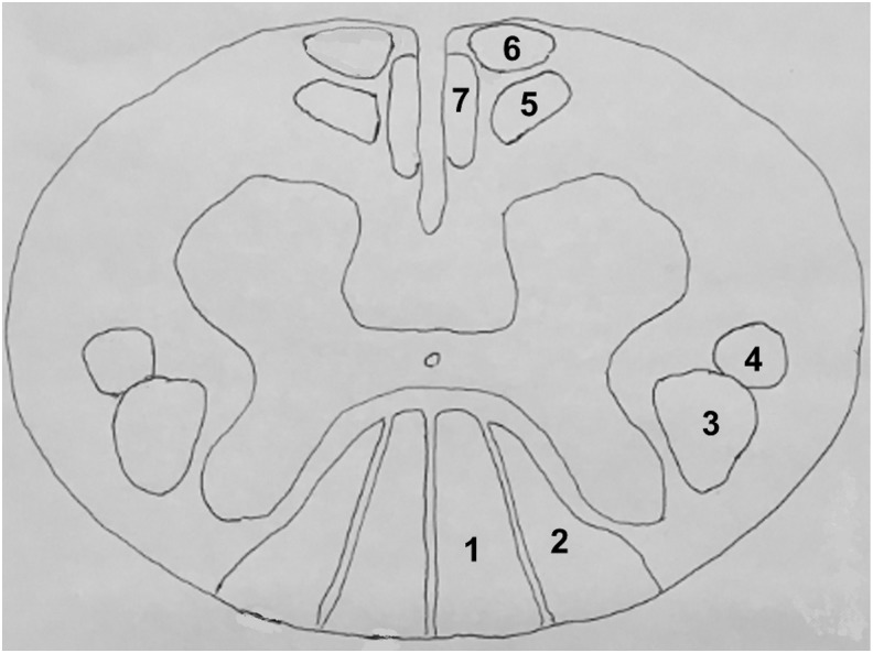 FIG. 2.